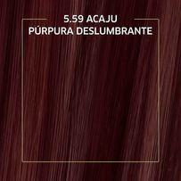 Tinta de Cabelo Biocolor Mini Kit Acaju Púrpura Deslumbrante 5.59