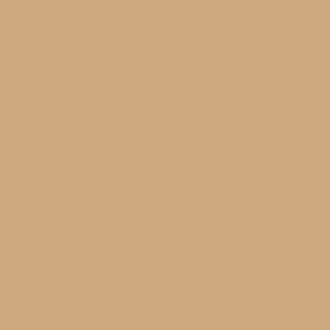 Protetor Solar Aqua Fluid Fps 50 Nude 50ml
