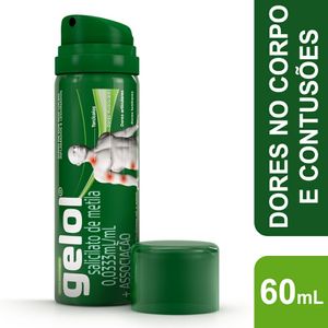 Gelol 60ml Aerosol