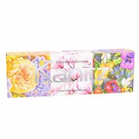 Kit Sabonete Kanitz Lorence Com 3 Unidades De 90g Cada