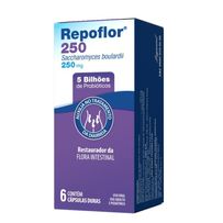 Repoflor 250mg Legrand 6 Cápsulas