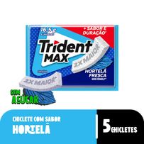Goma De Mascar Trident Max Hortelã Fresca 16,5g