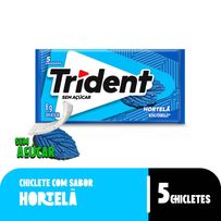Goma De Mascar Trident Hortelã 5 Unidades