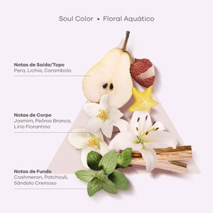 Ampola Tratamento Capilar Braé Soul Color Booster Ampoule 13ml
