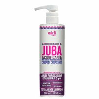 Acidificando A Juba Widi Care Acidificante 500ml