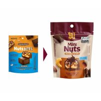 Bombom Mini Nuts Chocolate ao Leite 60g