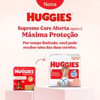Fralda Huggies Máxima Proteção Xg 58 Unidades