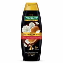 Shampoo Óleo de Argan Marroquino e Camélia Palmolive 350ml