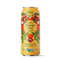BEBIDA MISTA ENERGIA VITAL 355ML