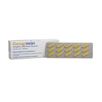 Gengimin 160mg 15 comprimidos revestidos