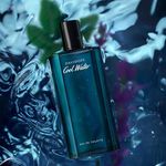 Davidoff Cool Water Eau De Toilette - Perfume Masculino 40ml