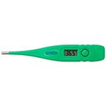 Termômetro Clínico Digital G-Tech TH1027 Verde