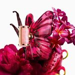 Perfume La Bomba Eau de Parfum Feminino Carolina Herrera 50ml