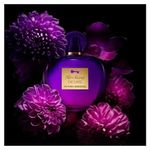 Perfume Her Secret Desire Eau De Toilette Feminino Banderas 80ml