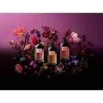 Perfume Flor Exótica Nº 16 Eau de Parfum Feminino Victorio & Lucchino 150ml