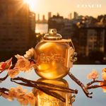 Coach Gold Parfum - Perfume Feminino 50ml