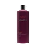 Sebastian Professional Penetraitt - Condicionador 1L