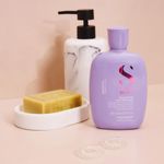 Kit Alfaparf Semi di Lino Smooth - Rotina Completa Anti-Frizz (4 produtos)